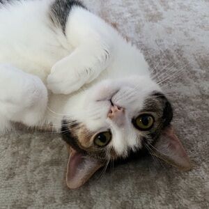 Meet your Posher, Ash